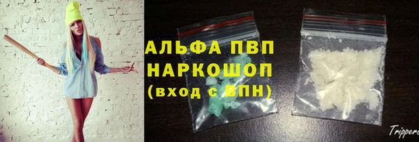 шишки Арсеньев