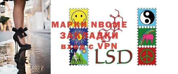 шишки Арсеньев