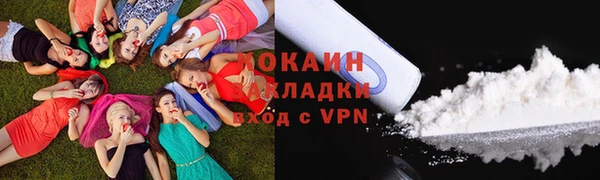 шишки Аркадак