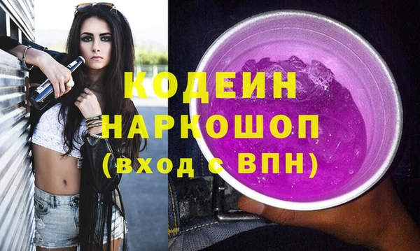 шишки Арсеньев