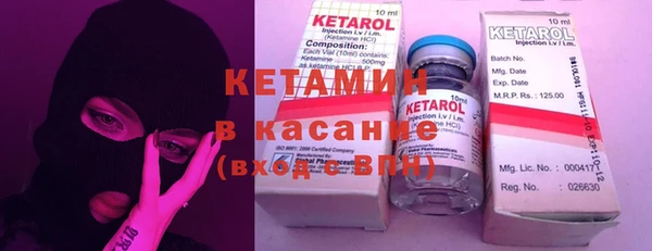 шишки Арсеньев