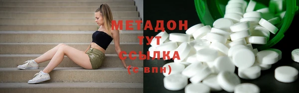 шишки Арсеньев