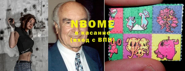 шишки Аркадак