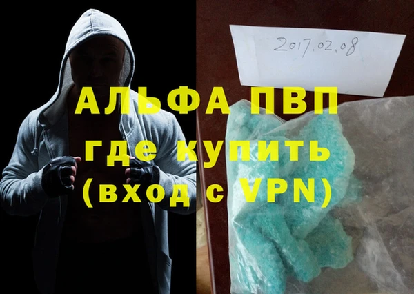 шишки Арсеньев