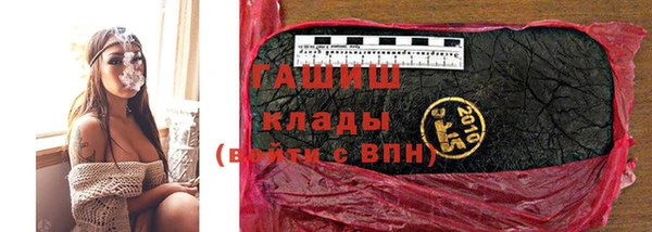 шишки Аркадак
