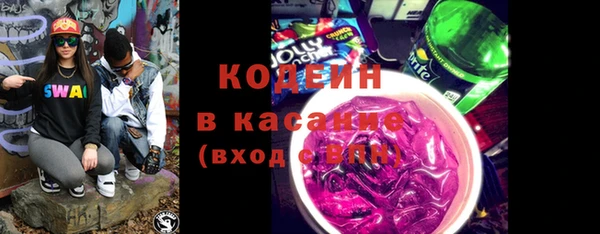 шишки Арсеньев