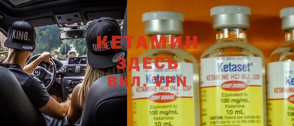шишки Арсеньев