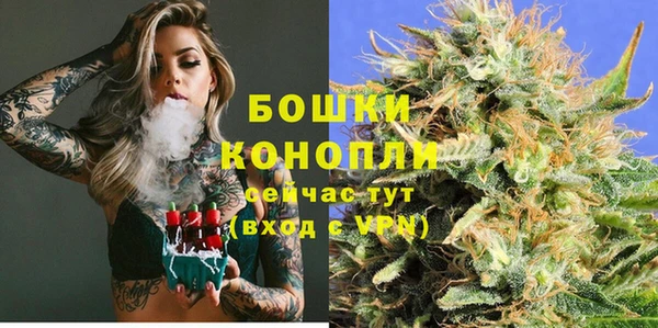 шишки Арсеньев