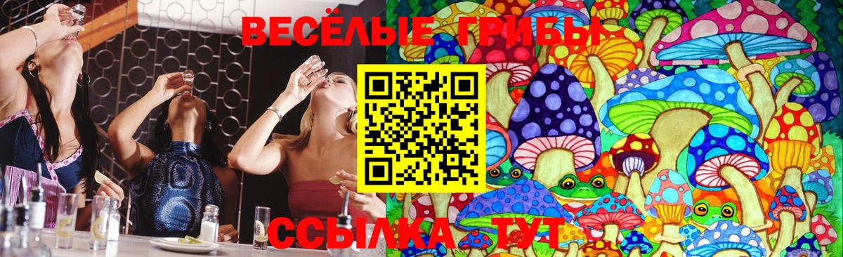 Псилоцибиновые грибы мухоморы Кореновск